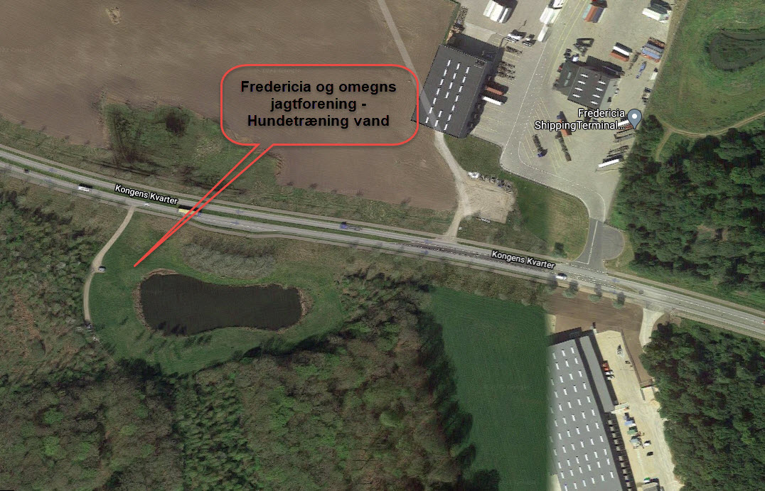 Rute vejledning hunde vand_fajagt.jpg